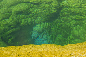 Yellowstone-land